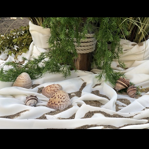 Seashells for Rent - Themed Rentals - Sea Shells for rent